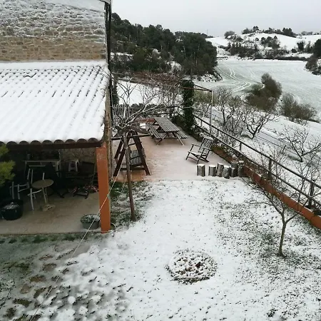 Pinyol La Cirera