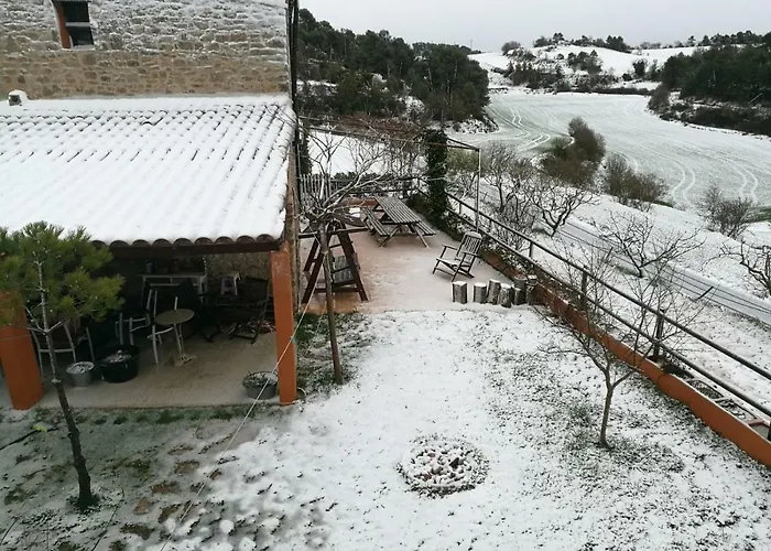 Pinyol La Cirera